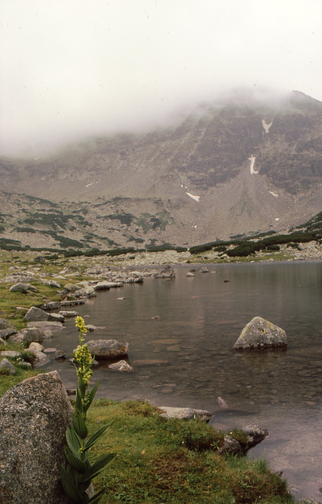 jezero pod Musalou